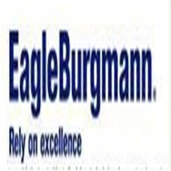 EagleBurgmann球阀