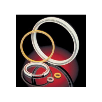 德国GFD活塞密封