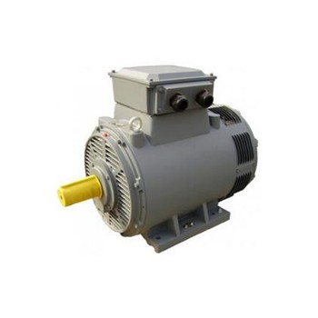 荷兰EN motoren Nijmegen振动电机