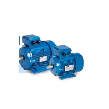 西班牙CEMER电机