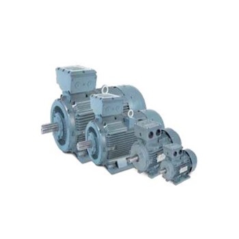 西班牙WA MOTORS电机