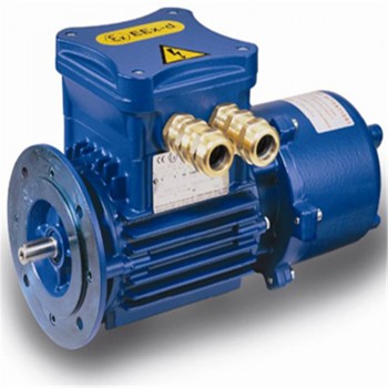 意大利CEMP无火花型电机