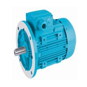 土耳其ELK电动机