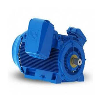 意大利Stiavelli Irio低压电机