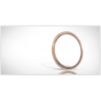 美国GARLOCK输送带