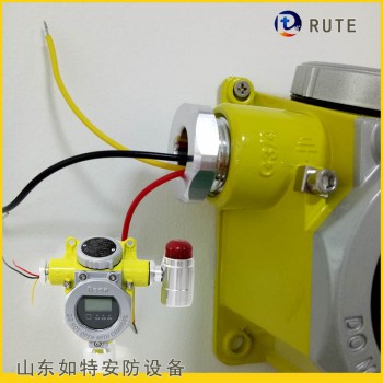 RBT-8000-FCX气体探测器 单点H2S泄漏报警器