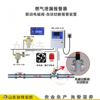 威海天燃气检测报警器 室内气体检测设备