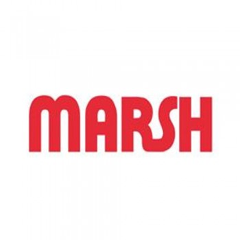 Marsh数字压力指示器
