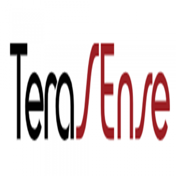 美国 TeraSense 分束器