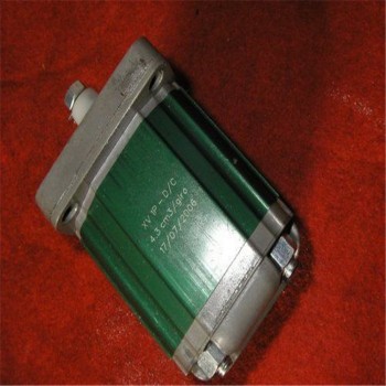 意大利VIVOLO马达