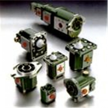 意大利SALAMI齿轮泵