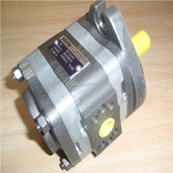 德国福伊特VOITH齿轮泵IPV5-32-101